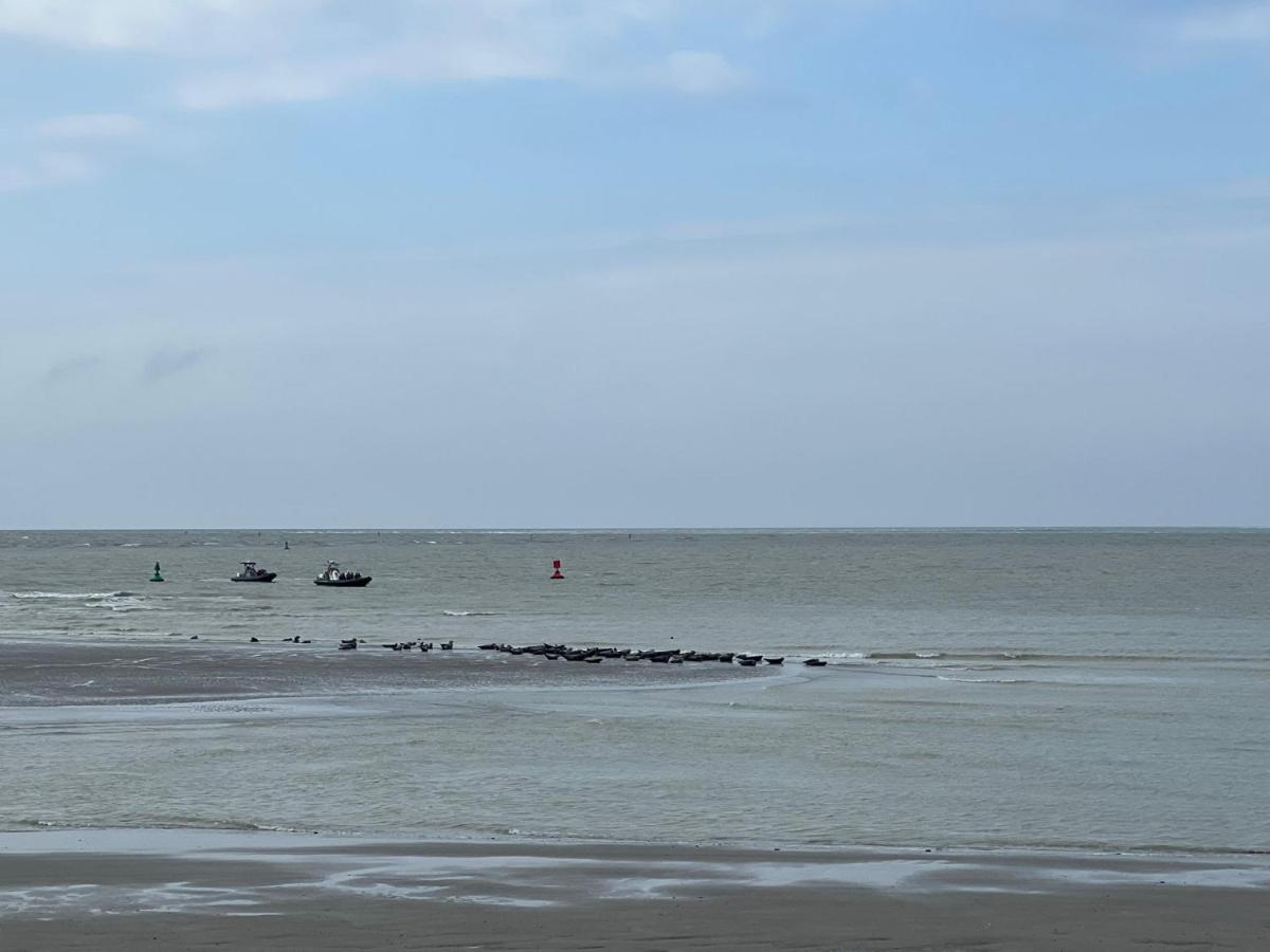 Plage A 50M Appartement Reves Tranquilles Villa Les Bains De Mers 외부 사진